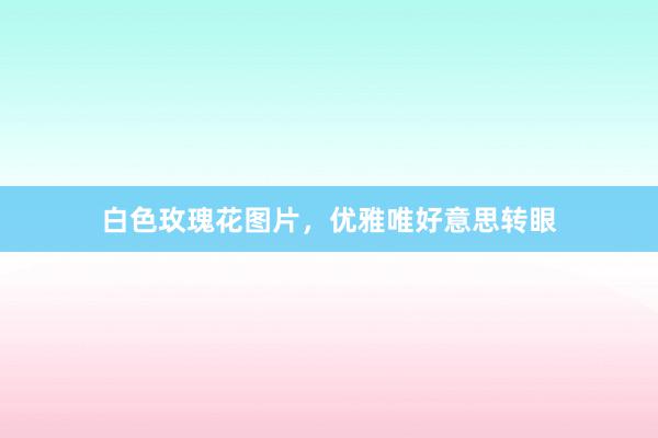白色玫瑰花图片,优雅唯好意思转眼