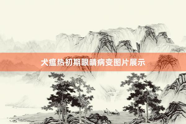 犬瘟热初期眼睛病变图片展示