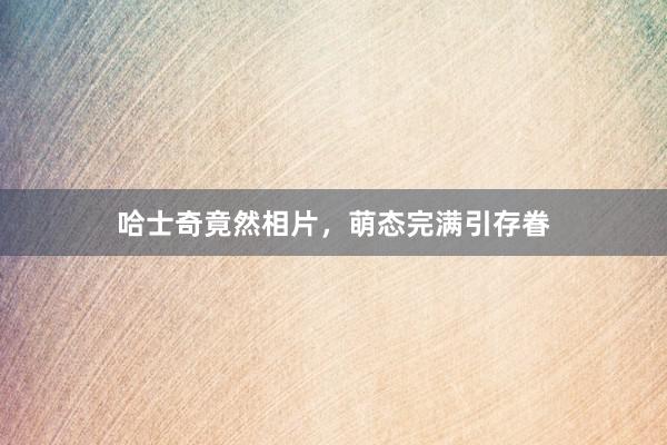 哈士奇竟然相片，萌态完满引存眷