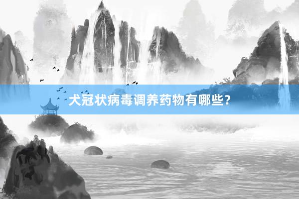 犬冠状病毒调养药物有哪些？